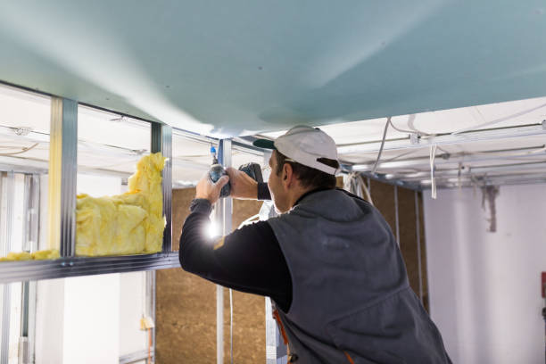 Best Blown-in Insulation in Lamoni, IA