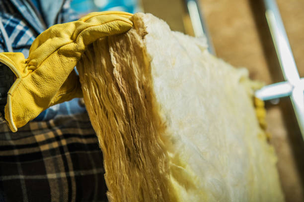 Best Energy Efficiency Insulation in Lamoni, IA