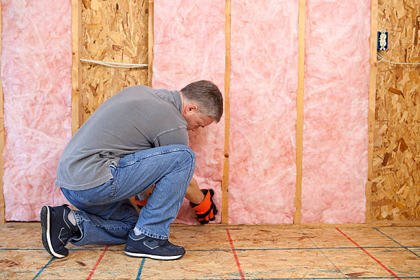 Best Cellulose Insulation in Lamoni, IA