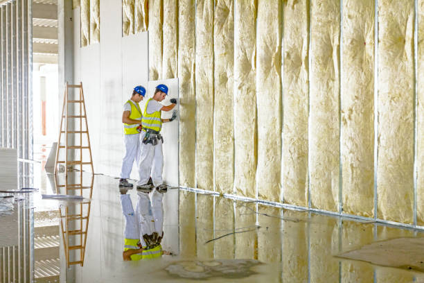Best Specialized Insulation Services in Lamoni, IA